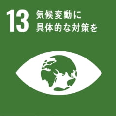 SDGs13-icon